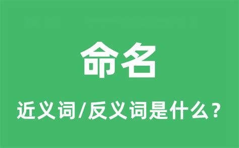 命名意思|命名 的 英语 Translation 